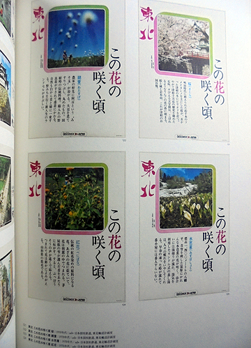 ディスカバー、ディスカバー・ジャパン 「遠く」へ行きたい 」展 図録